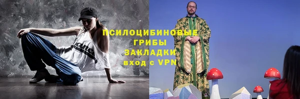 хмурый Алексеевка