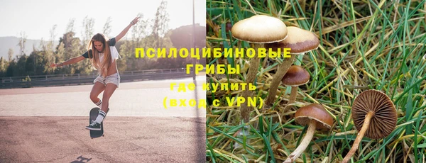 соль курить ск Алзамай