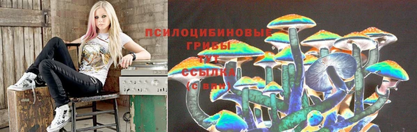 дживик Алексин