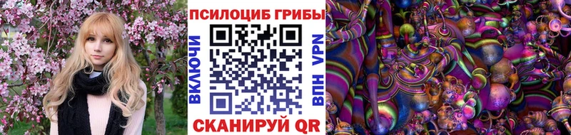 blacksprut рабочий сайт  Алзамай  Псилоцибиновые грибы мицелий 
